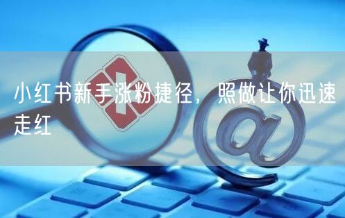 小红书新手涨粉捷径，照做让你迅速走红
